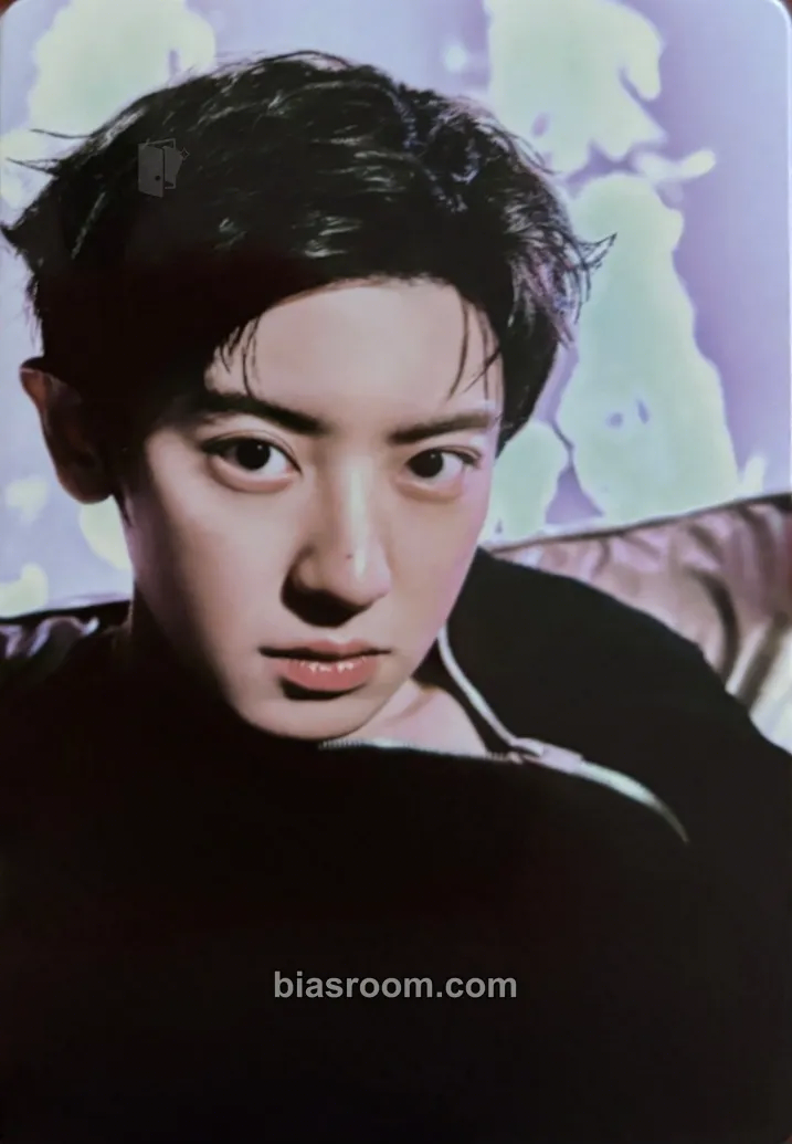 Chanyeol REVERXE Photocard - EXO - EXO K-pop photocard
