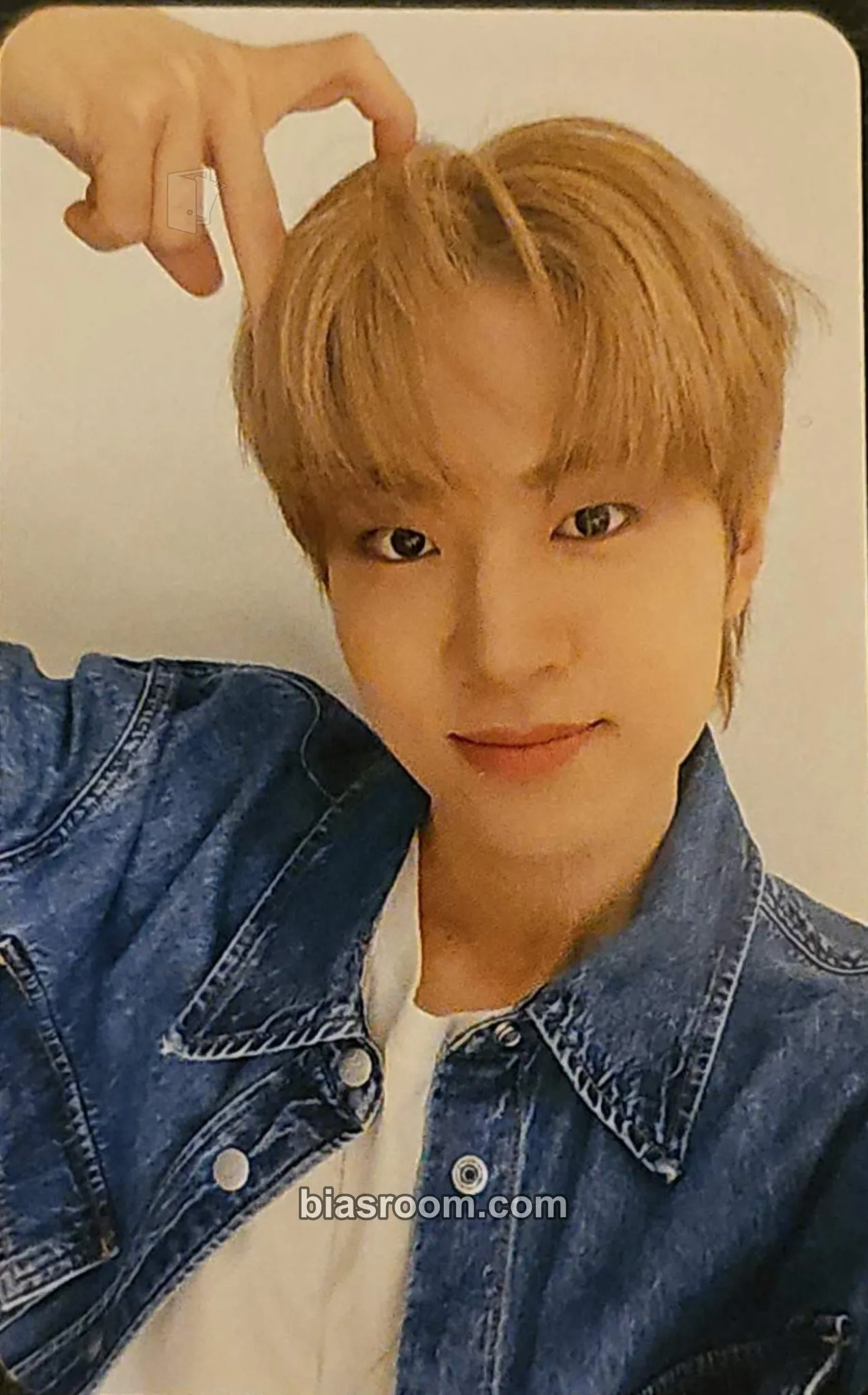 Sani Dream It Photocard - CATCH THE YOUNG - CATCH THE YOUNG K-pop photocard