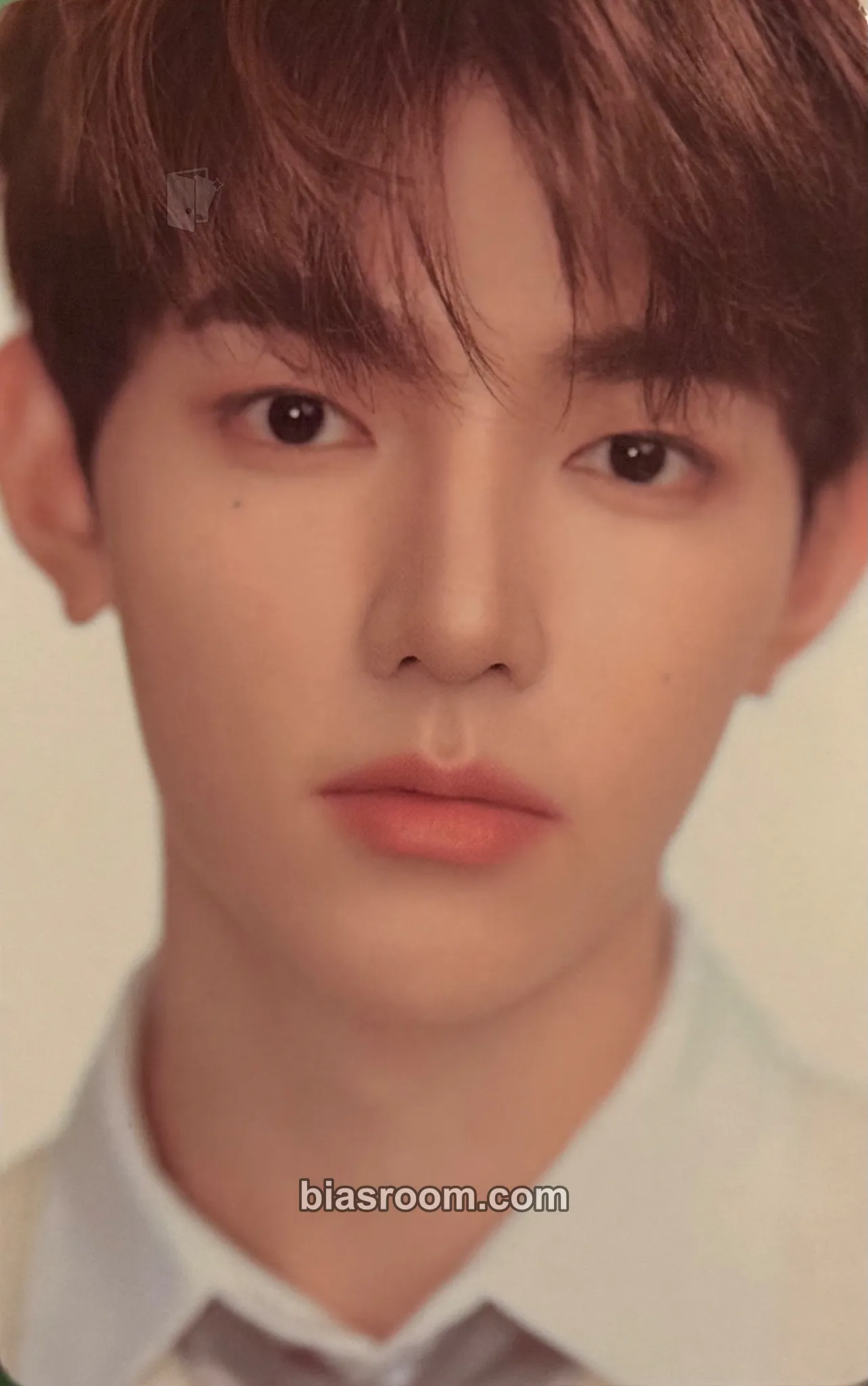 Hao Zhang Hao x Tangle Teezer Photocard - ZEROBASEONE - ZEROBASEONE K-pop photocard