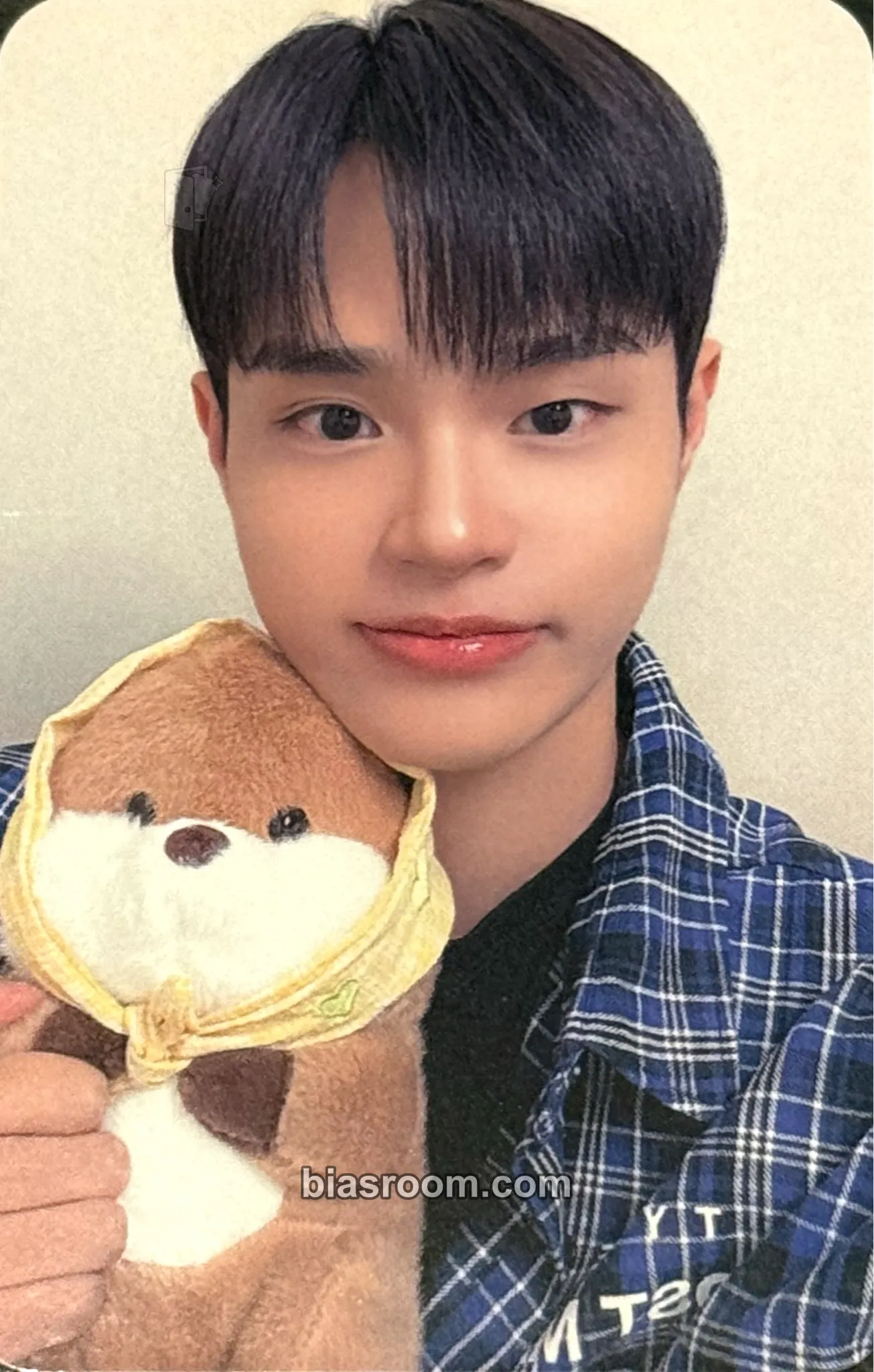 Daehwi BORN LIKE THIS Photocard - AB6IX - AB6IX K-pop photocard