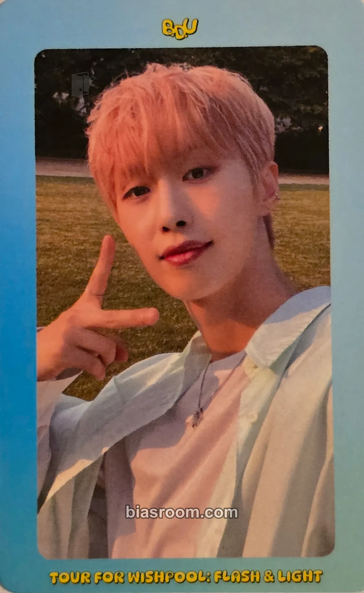 Bitsaeon Tour for Wishpool: Flash & Light Photocard - B.D.U - B.D.U K-pop photocard