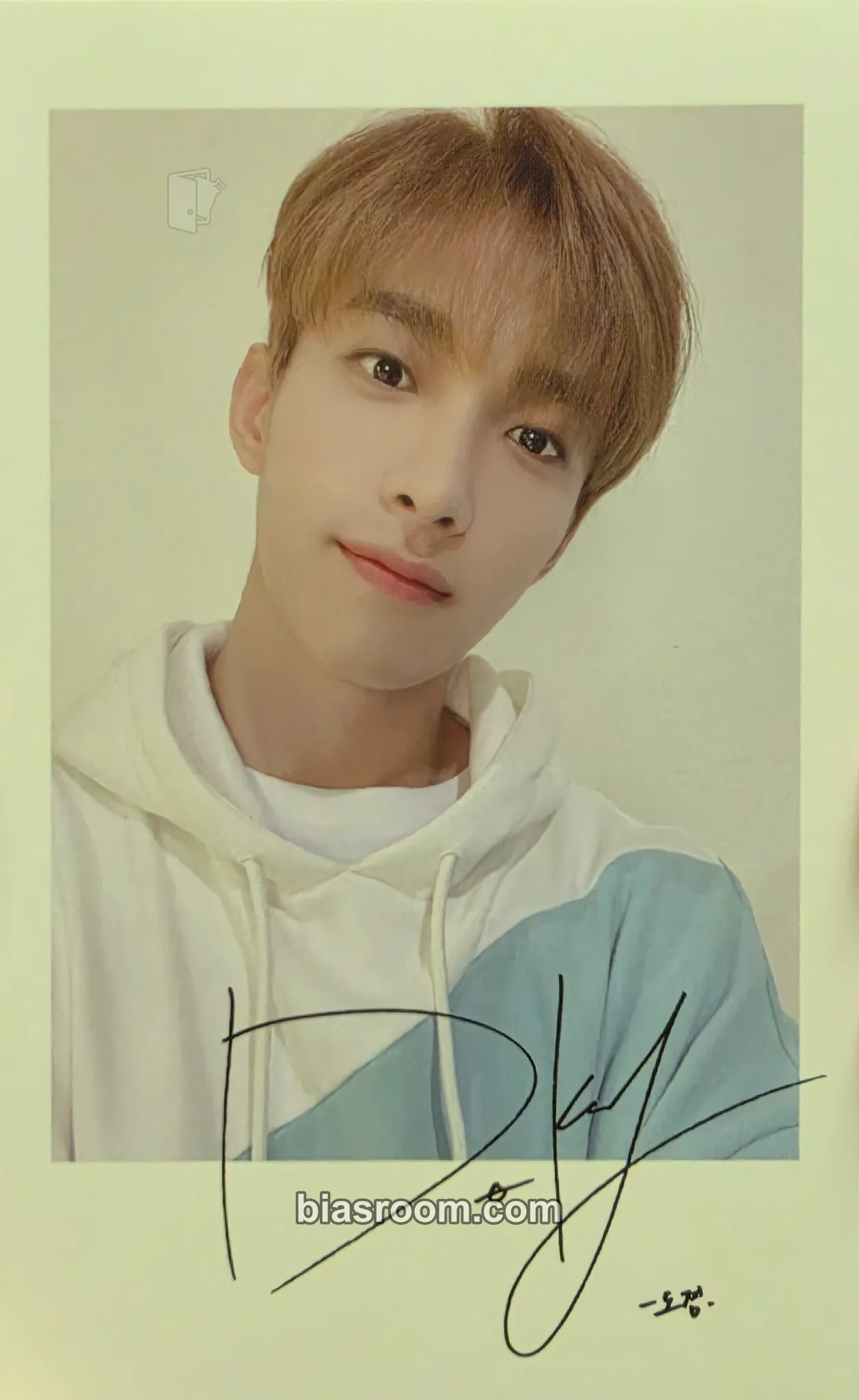 DK 2020 4TH SVT IN CARAT LAND Photocard - SEVENTEEN - SEVENTEEN K-pop photocard