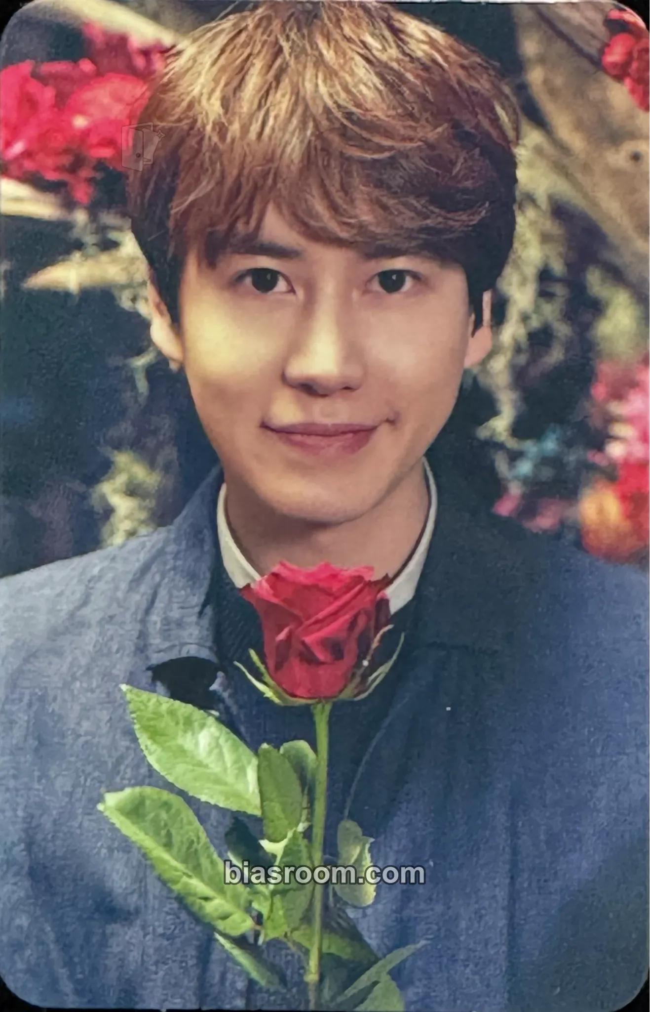 Kyuhyun Celebration ~Kimini Kakeru Hashi~ (Kyuhyun Solo) Photocard - SUPER JUNIOR - SUPER JUNIOR K-pop photocard