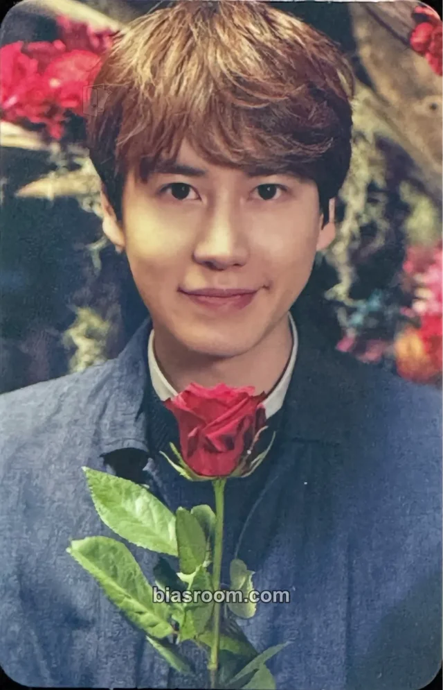 SUPER JUNIOR - Kyuhyun - Celebration ~Kimini Kakeru Hashi~ (Kyuhyun Solo) Album album photocard solo album japanese album
