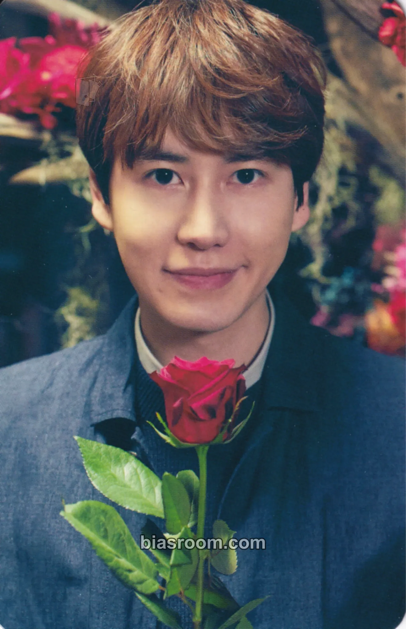Kyuhyun Celebration ~Kimini Kakeru Hashi~ (Kyuhyun Solo) Photocard - SUPER JUNIOR - SUPER JUNIOR K-pop photocard