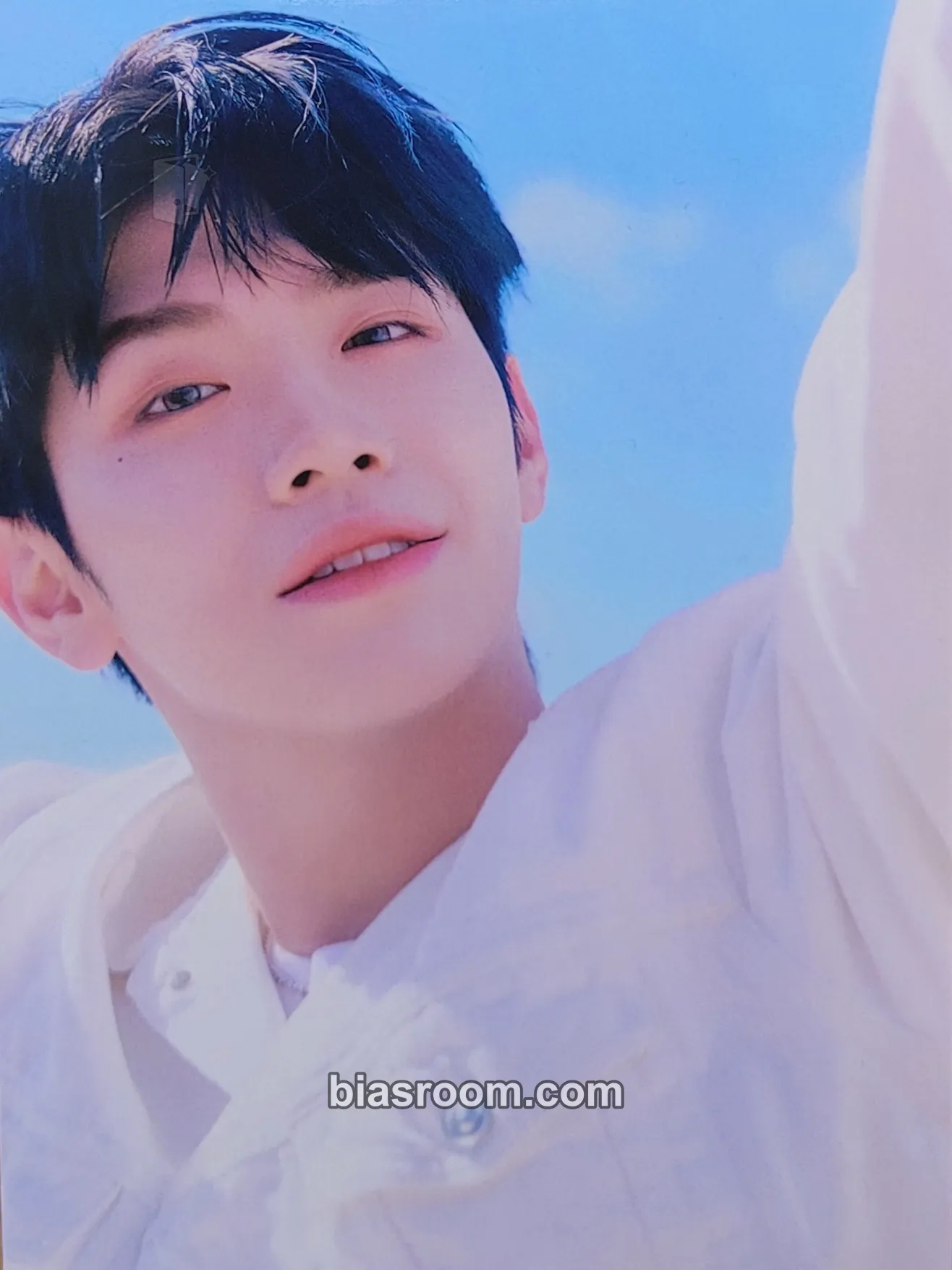 Taerae You Had Me at Hello Photocard - ZEROBASEONE - ZEROBASEONE K-pop photocard