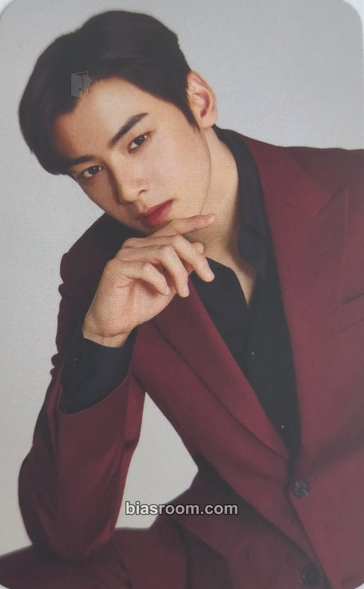Cha Eun-woo Cha Eun-woo x Noona Holdak Photocard - ASTRO - ASTRO K-pop photocard