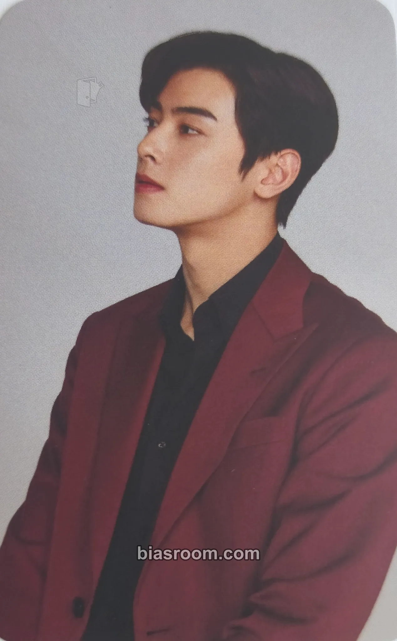 Cha Eun-woo Cha Eun-woo x Noona Holdak Photocard - ASTRO - ASTRO K-pop photocard