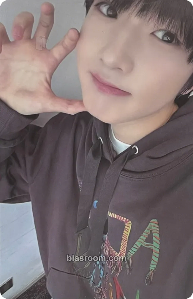 Sakuya Steady Photocard - NCT WISH - NCT WISH K-pop photocard