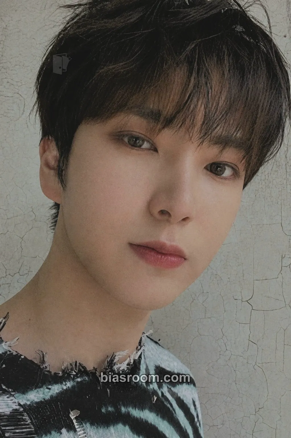 Kevin VAMOS Photocard - Omega X - Omega X K-pop photocard