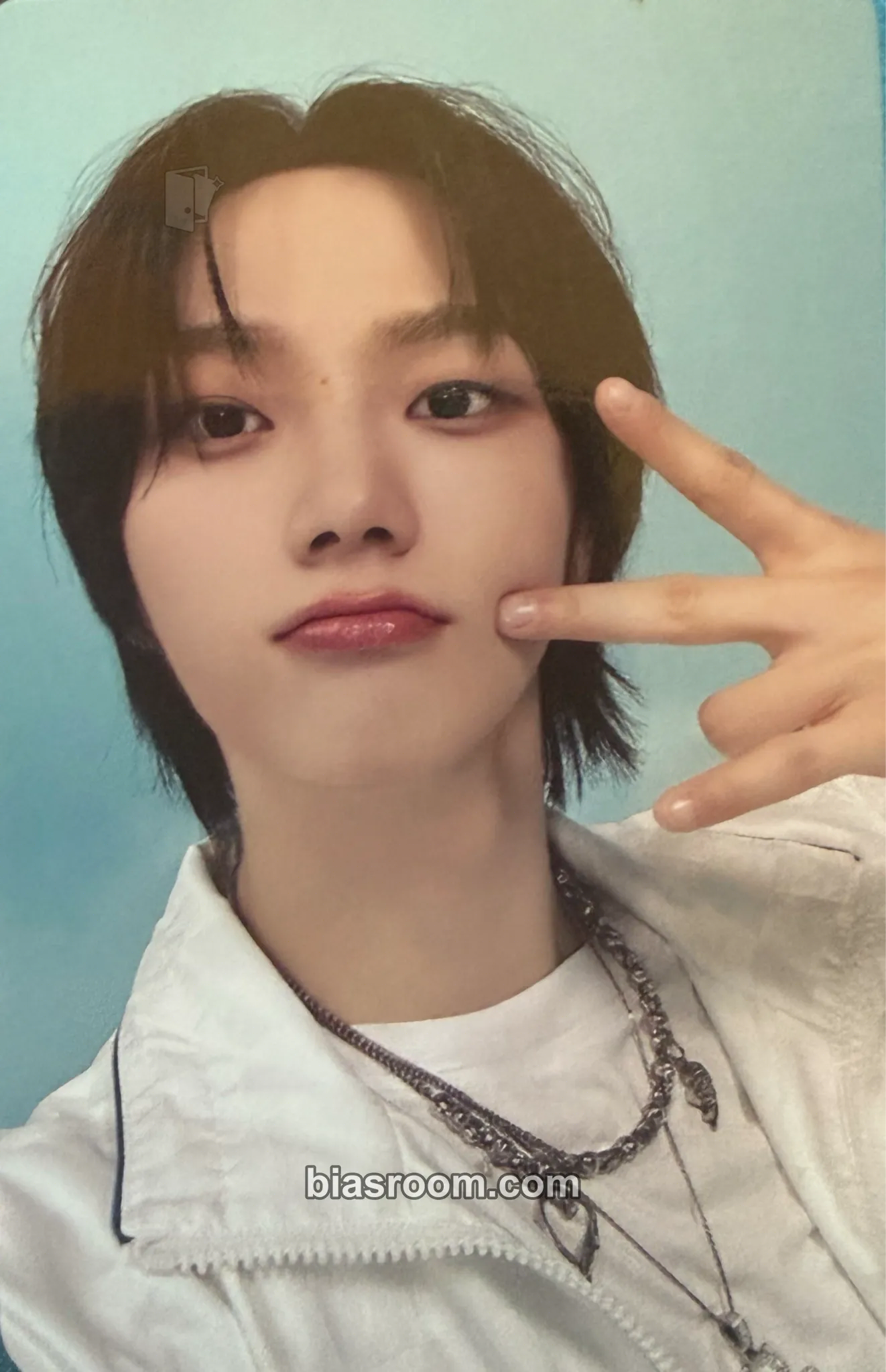 Sungho WHY.. Photocard - BOYNEXTDOOR - BOYNEXTDOOR K-pop photocard