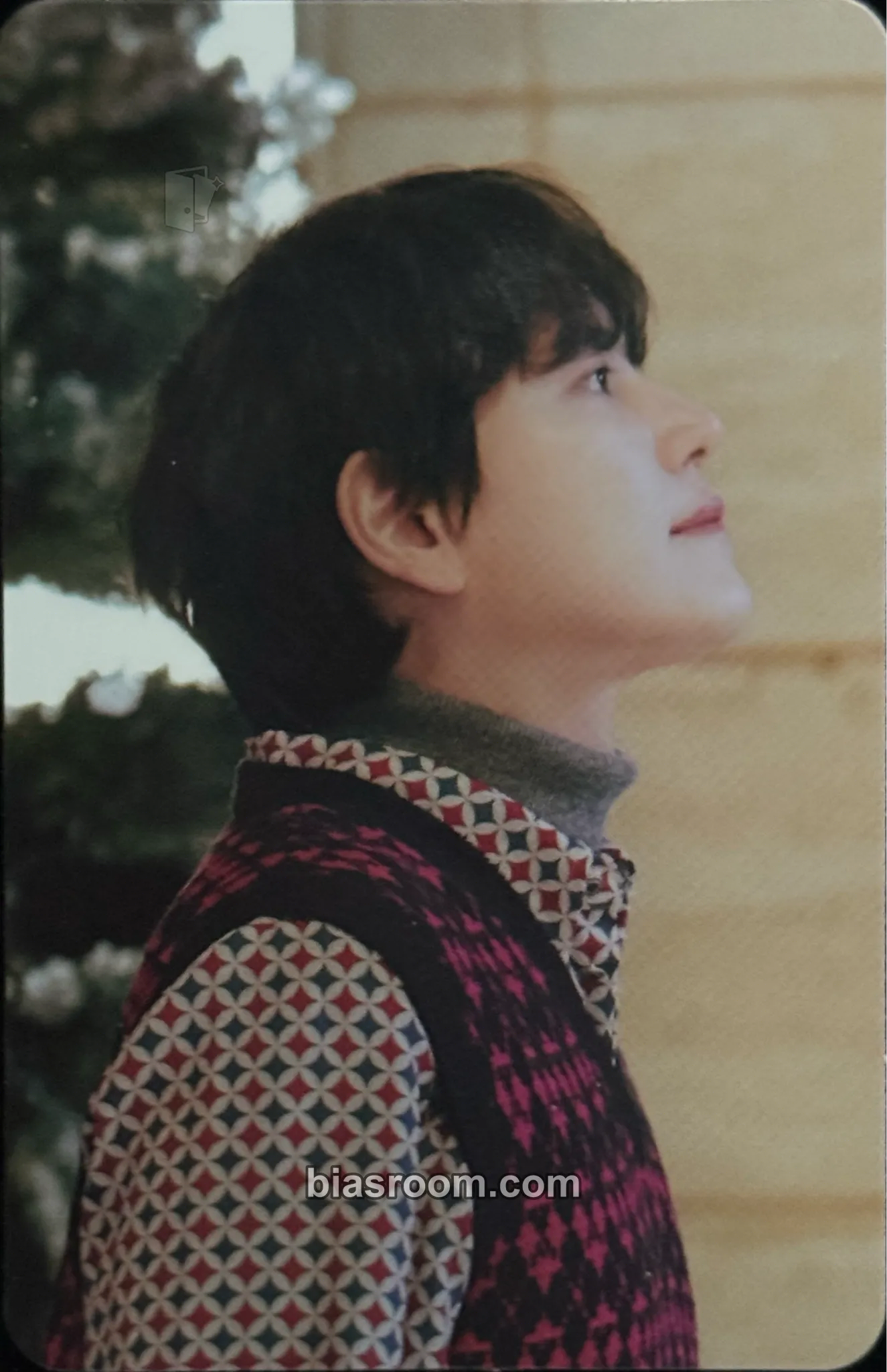 Kyuhyun The Road: Celebration Photocard - SUPER JUNIOR - SUPER JUNIOR K-pop photocard