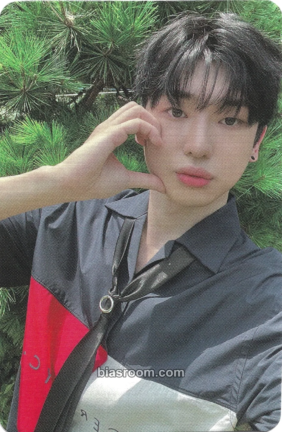 Davin Some Day Photocard - XODIAC - XODIAC K-pop photocard