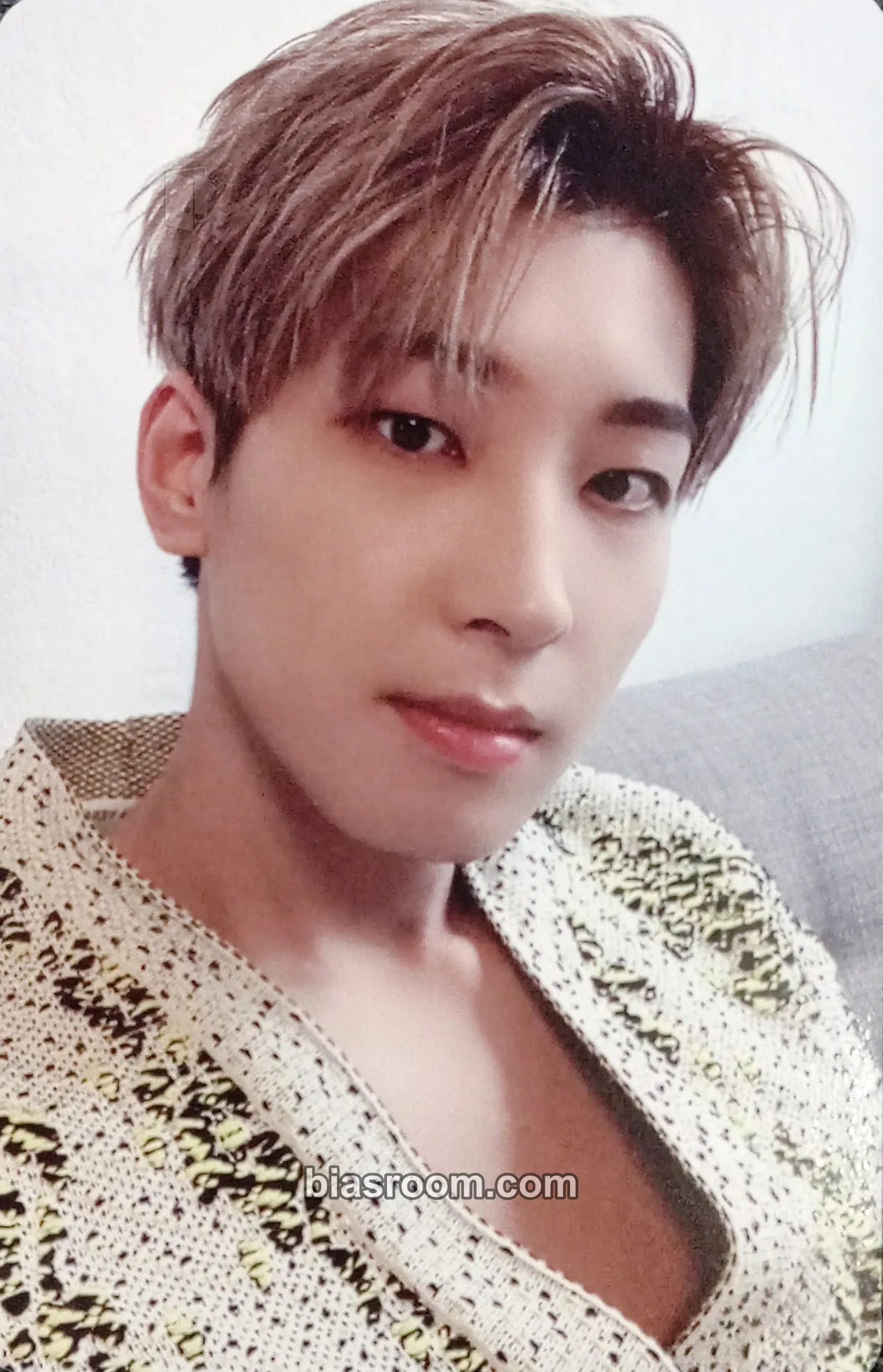 Wonwoo DICON Photocard 101: Custom Book Photocard - SEVENTEEN - SEVENTEEN K-pop photocard