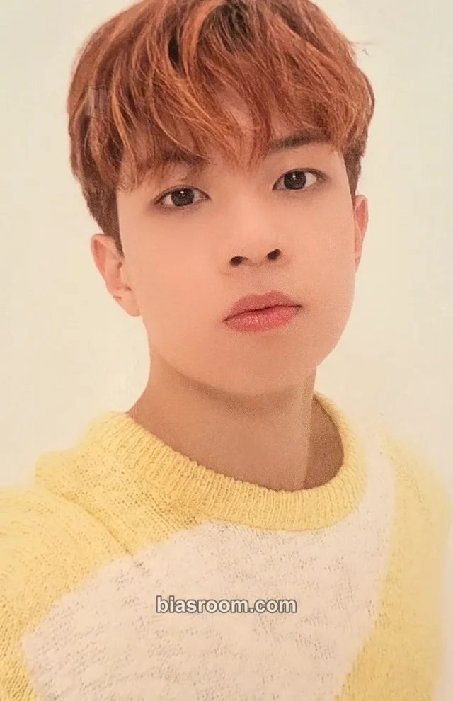 N.Flying - Hweseung - Turbulence Album album photocard