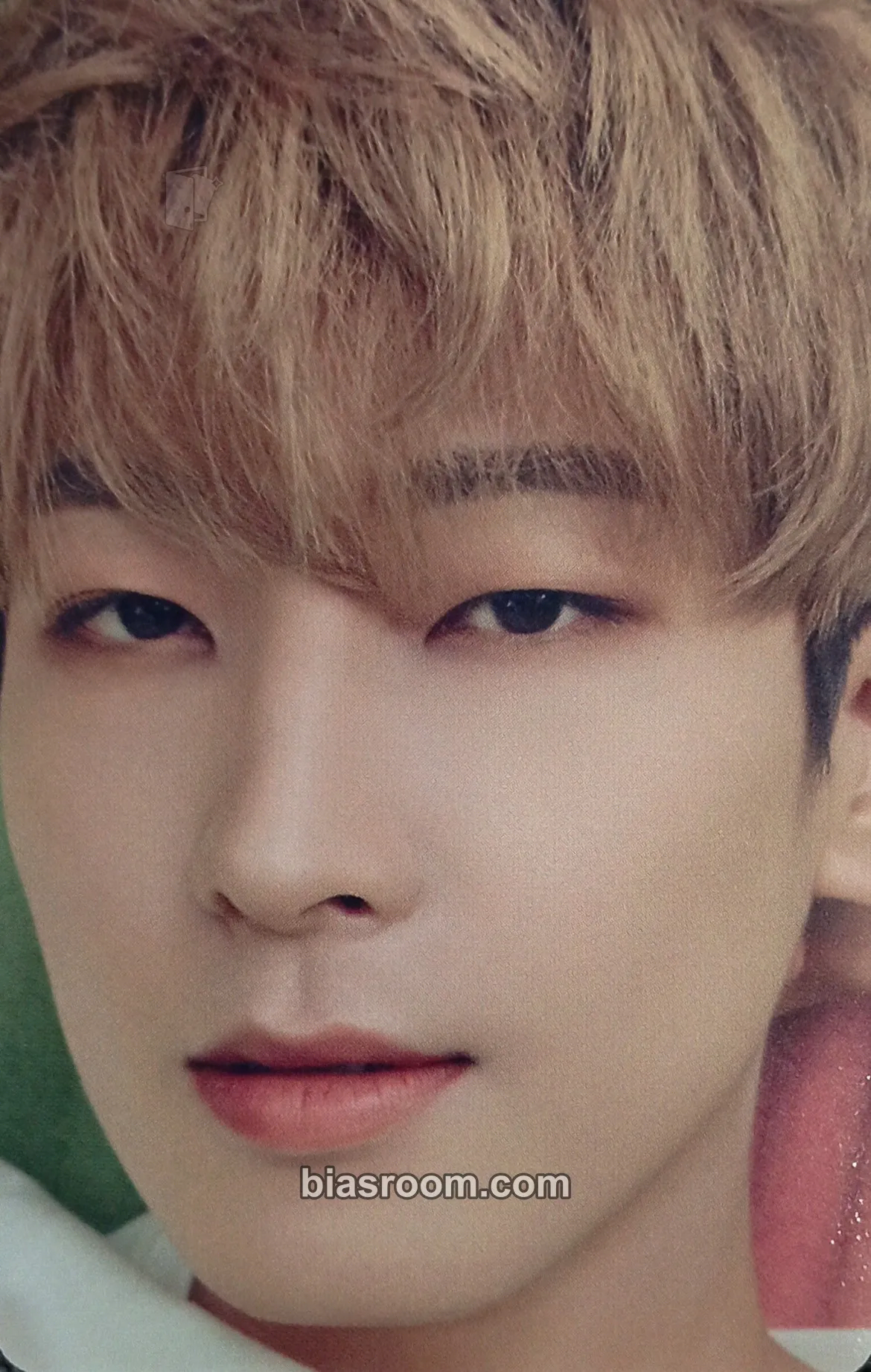 Wonwoo DICON Photocard 101: Custom Book Photocard - SEVENTEEN - SEVENTEEN K-pop photocard