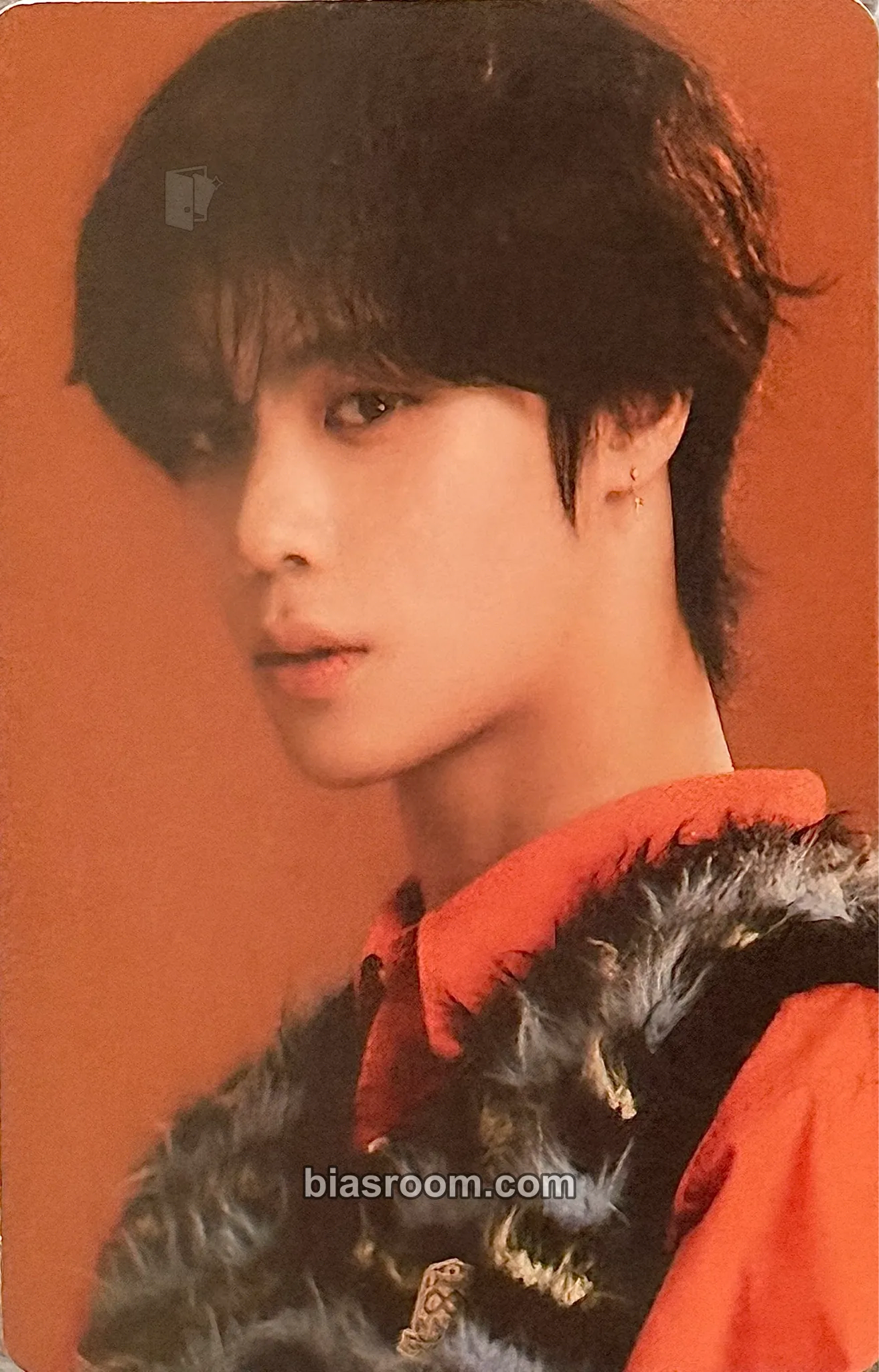 Fan Chapter: New is Now Photocard - NouerA - NouerA K-pop photocard