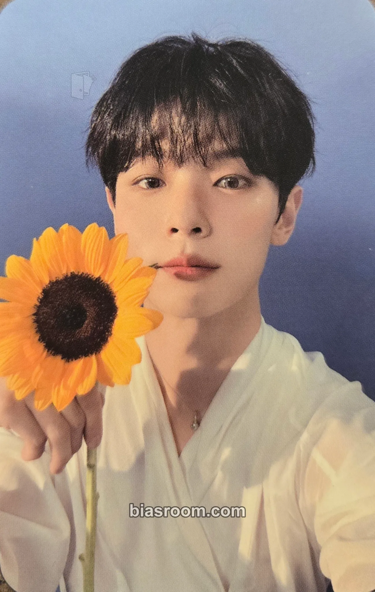 Yechan Sunflower Photocard - LUCY - LUCY K-pop photocard