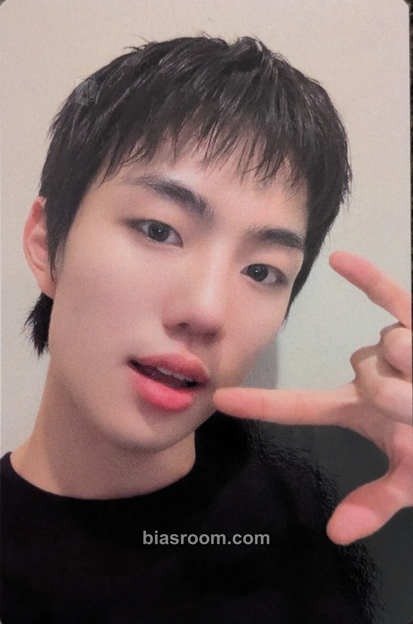 Park Jihoo 2025 EVNNE CONCERT ‘SET N GO’ Photocard - EVNNE - EVNNE K-pop photocard