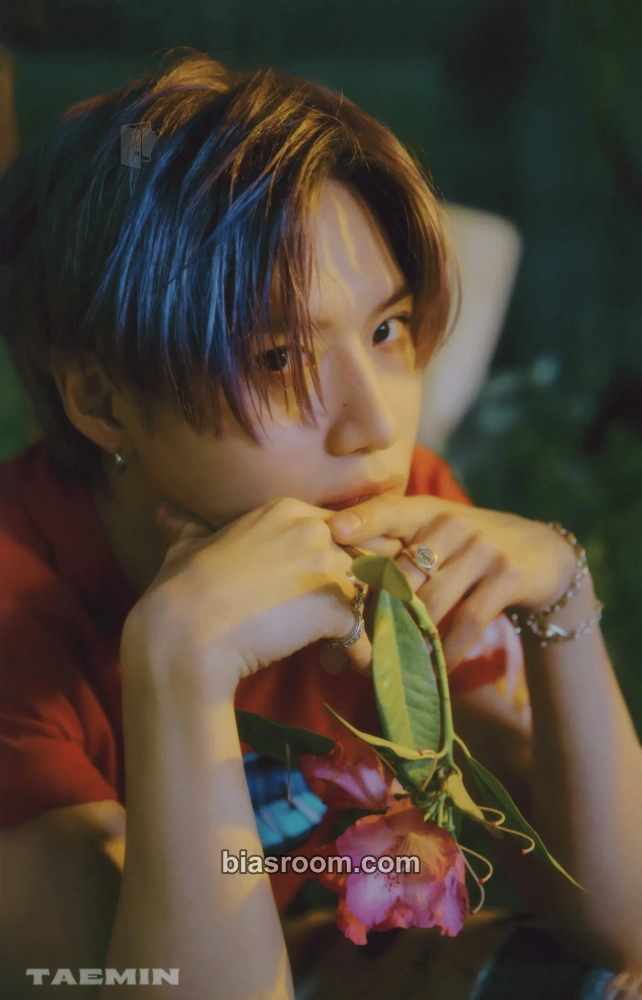 Taemin Atlantis - The 7th Album Repackage Photocard - SHINee - SHINee K-pop photocard