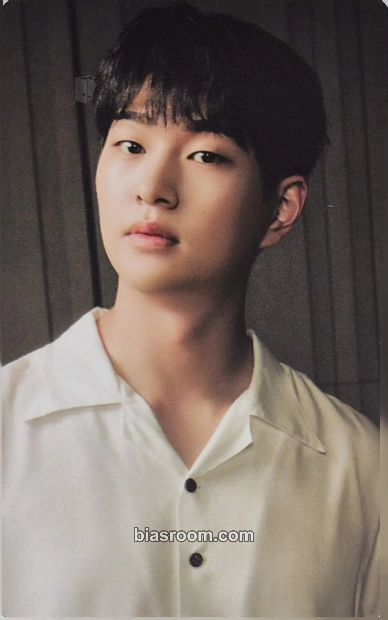 Onew SHINee 2022 Season's Greetings Photocard - SHINee - SHINee K-pop photocard