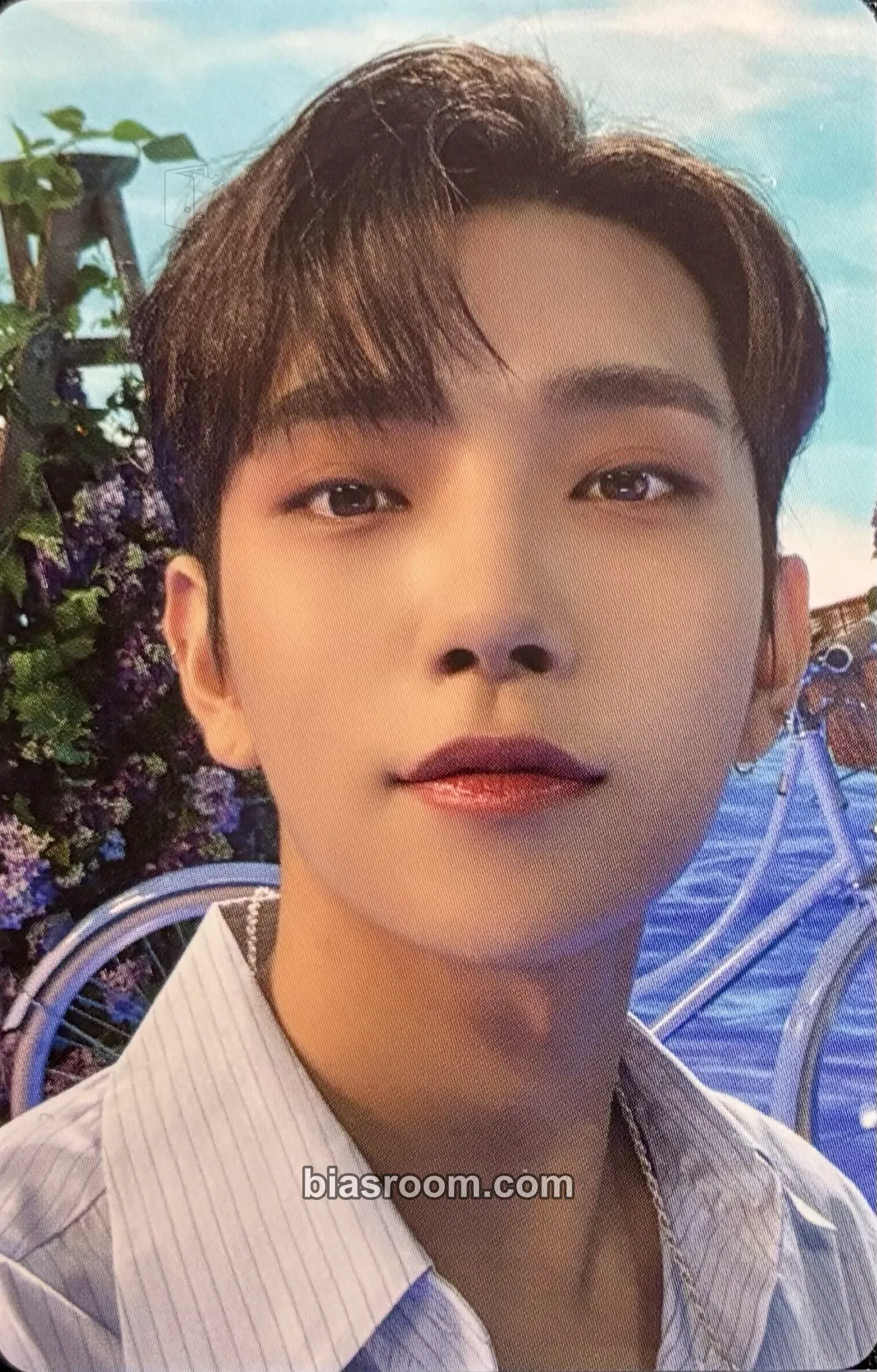 Joshua DICON D’Festa Mini Edition Photocard - SEVENTEEN - SEVENTEEN K-pop photocard
