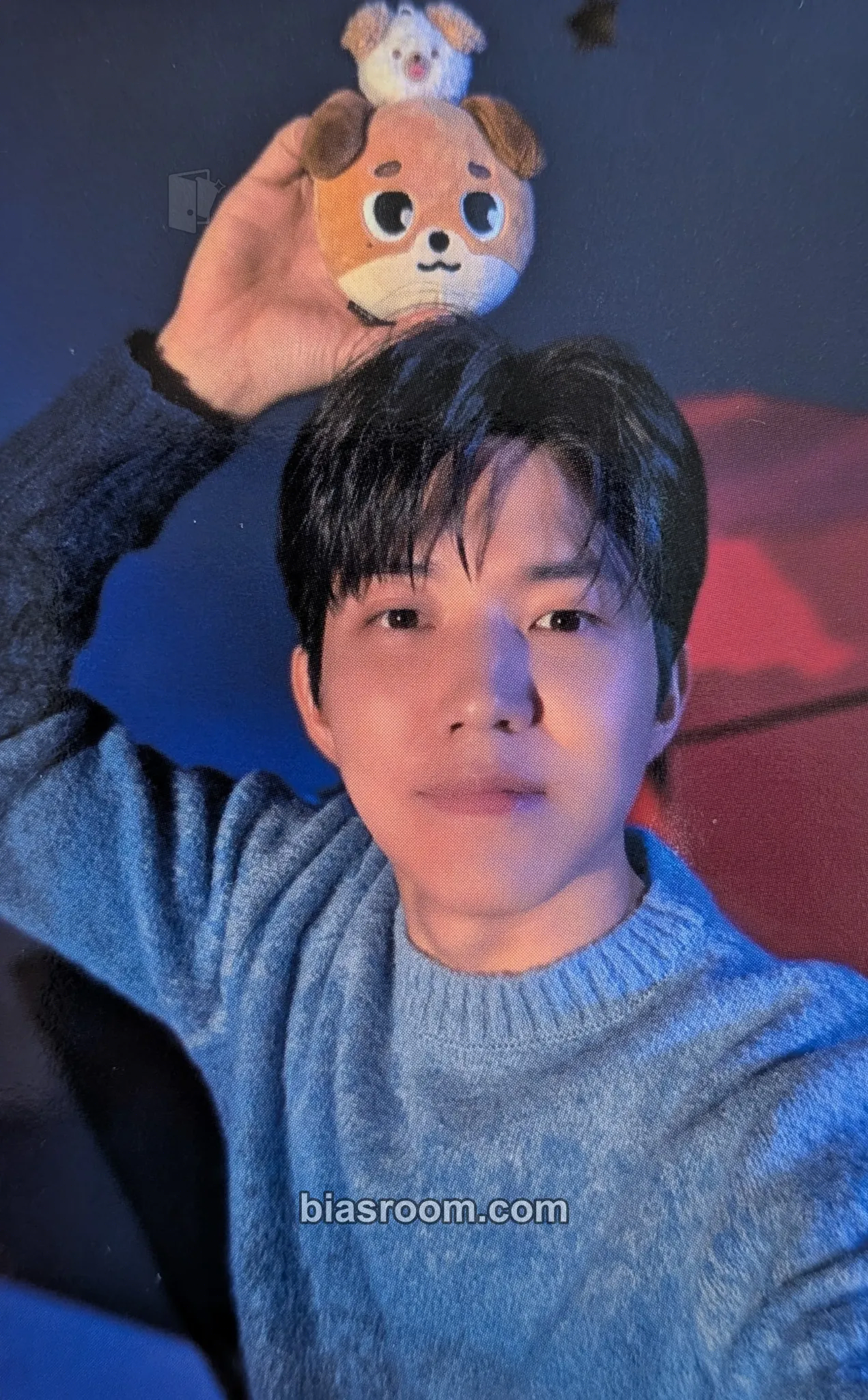 Dowoon 2025 Special Concert - The Present Photocard - DAY6 - DAY6 K-pop photocard