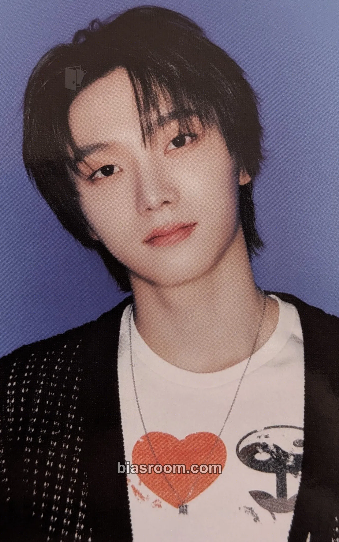 Sungho Knock On Vol.1 Tour Photocard - BOYNEXTDOOR - BOYNEXTDOOR K-pop photocard