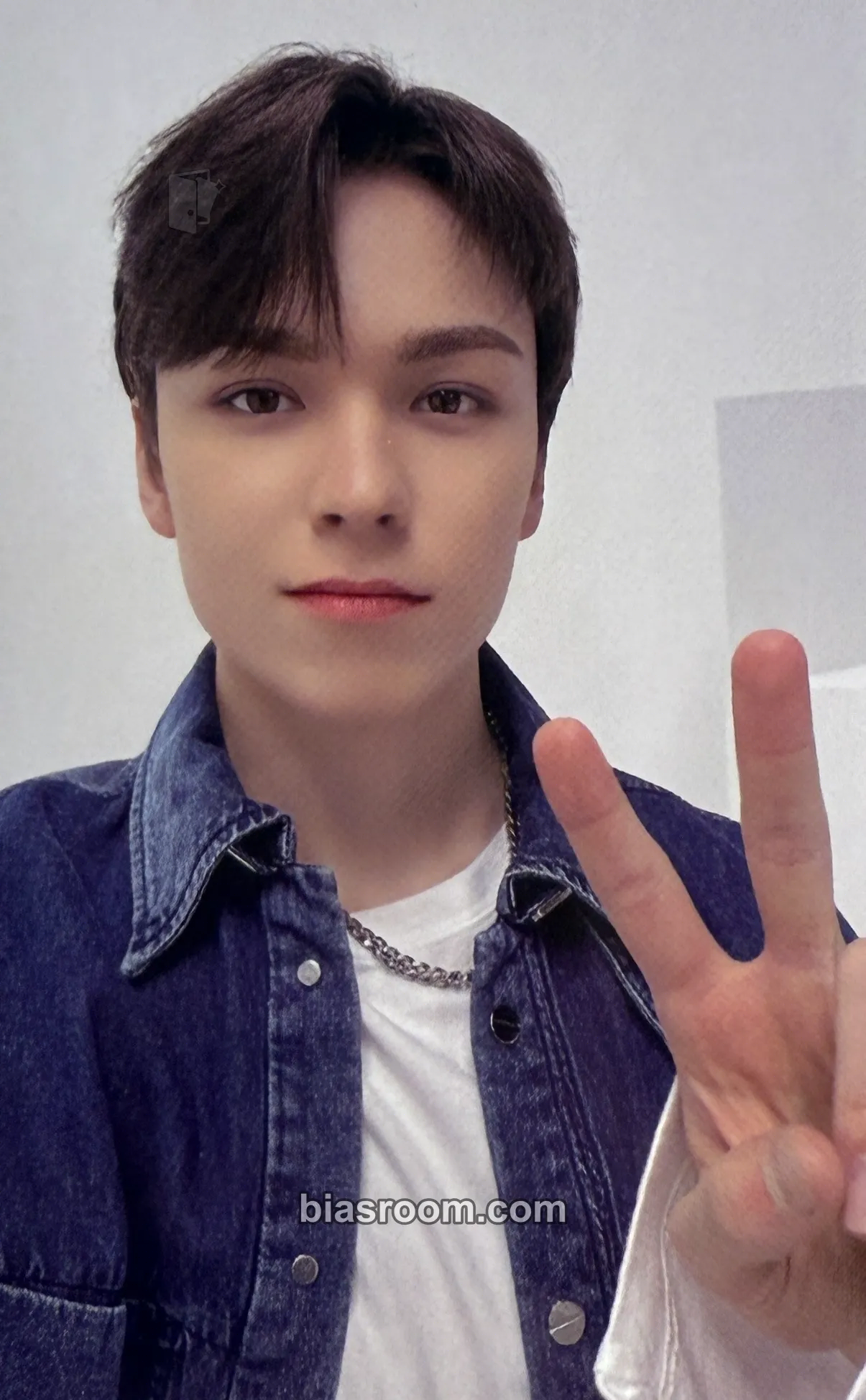 Vernon Birthday Boxes/Merch Photocard - SEVENTEEN - SEVENTEEN K-pop photocard