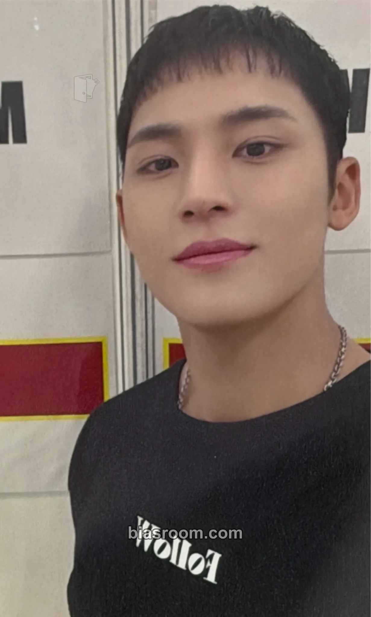 Mingyu Seventeenth Heaven Photocard - SEVENTEEN - SEVENTEEN K-pop photocard