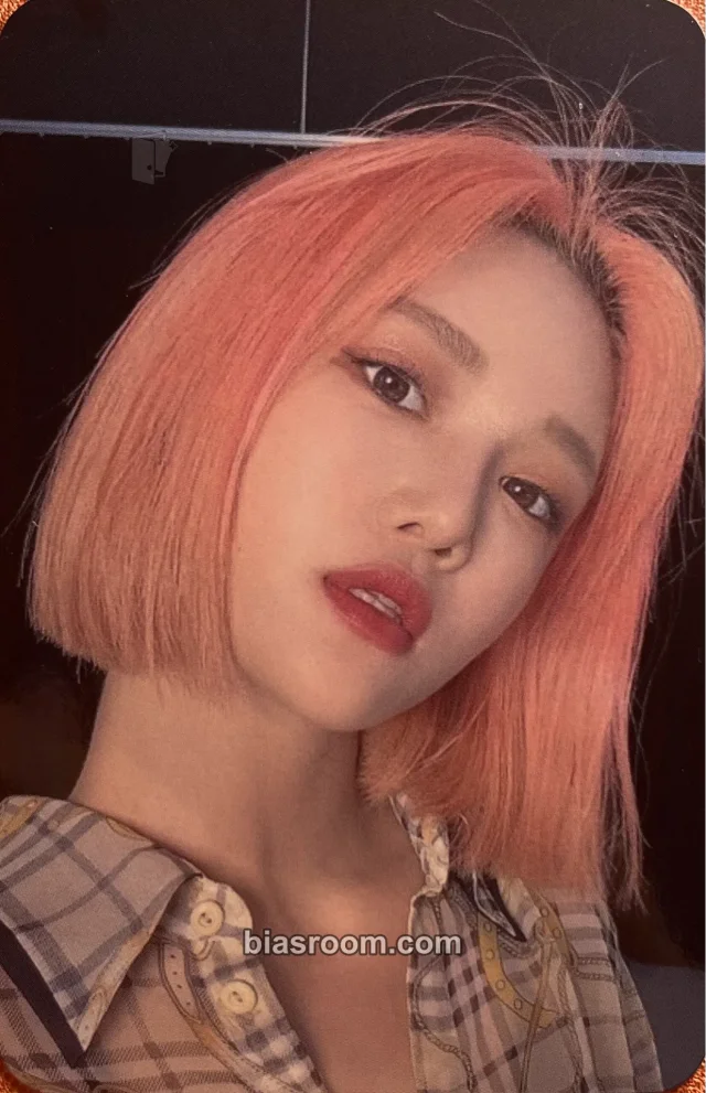 Botopass - Cui Xiang - Flamingo Album album photocard version 2