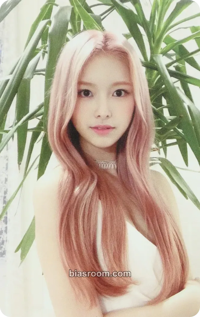 Eunjo Dreams Alive Photocard - DreamNote - DreamNote K-pop photocard
