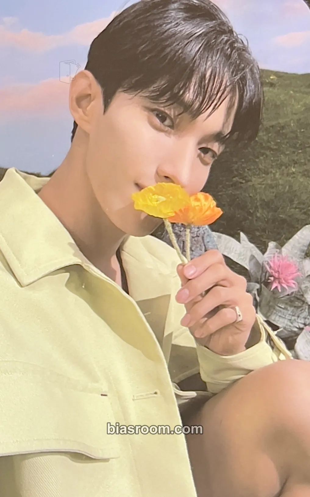 DK SECTOR 17 Photocard - SEVENTEEN - SEVENTEEN K-pop photocard