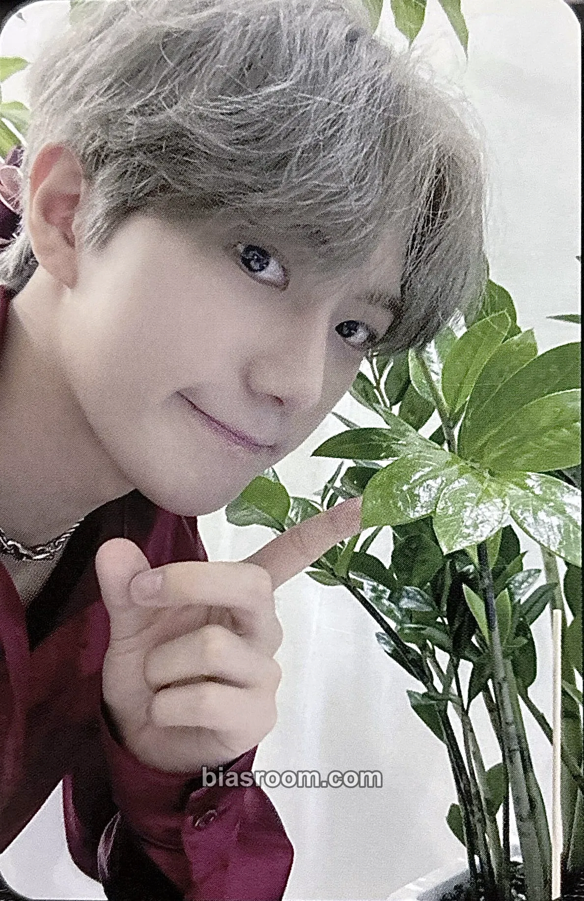 Siwoo Just Burn Photocard - JustB - JustB K-pop photocard