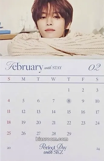 Lee Know 2024 Season's Greetings - Perfect Day with SKZ Photocard - Stray Kids - Stray Kids K-pop photocard
