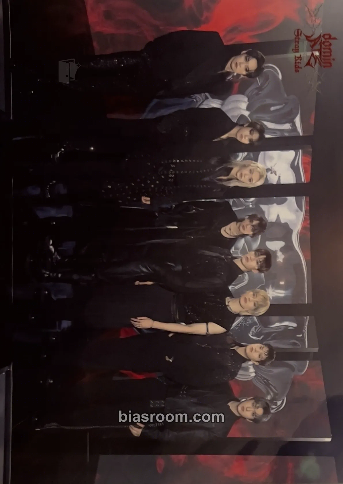 DominATE World Tour Photocard - Stray Kids - Stray Kids K-pop photocard
