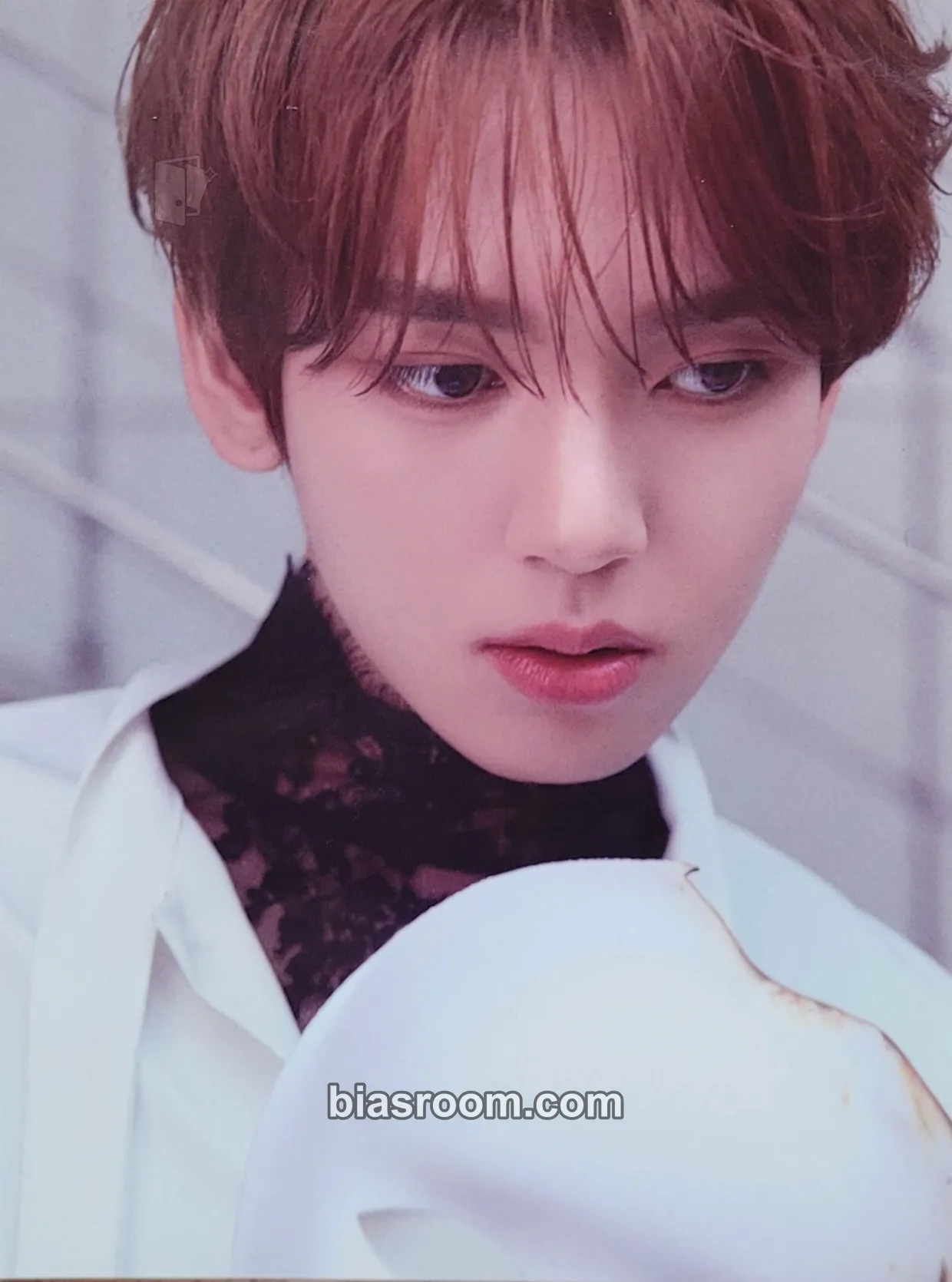 Yujin Cinema Paradise Photocard - ZEROBASEONE - ZEROBASEONE K-pop photocard