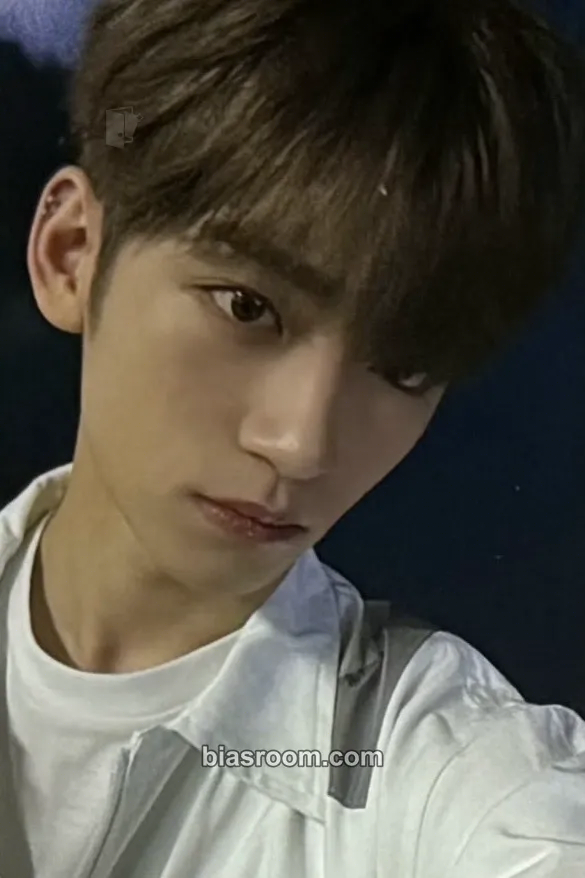 Jaeha Cut-Out Photocard - WHIB - WHIB K-pop photocard