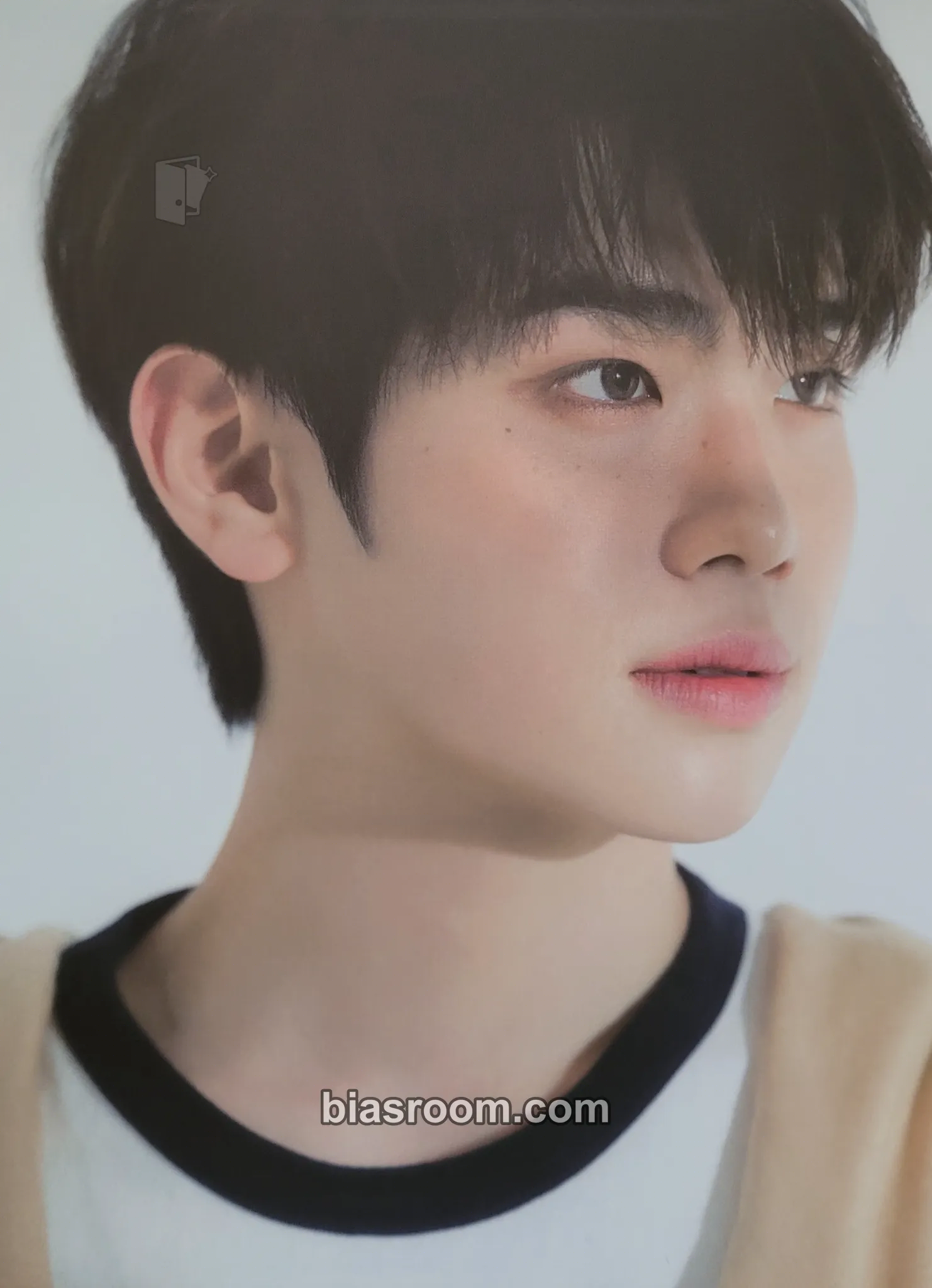 Taerae Cinema Paradise Photocard - ZEROBASEONE - ZEROBASEONE K-pop photocard