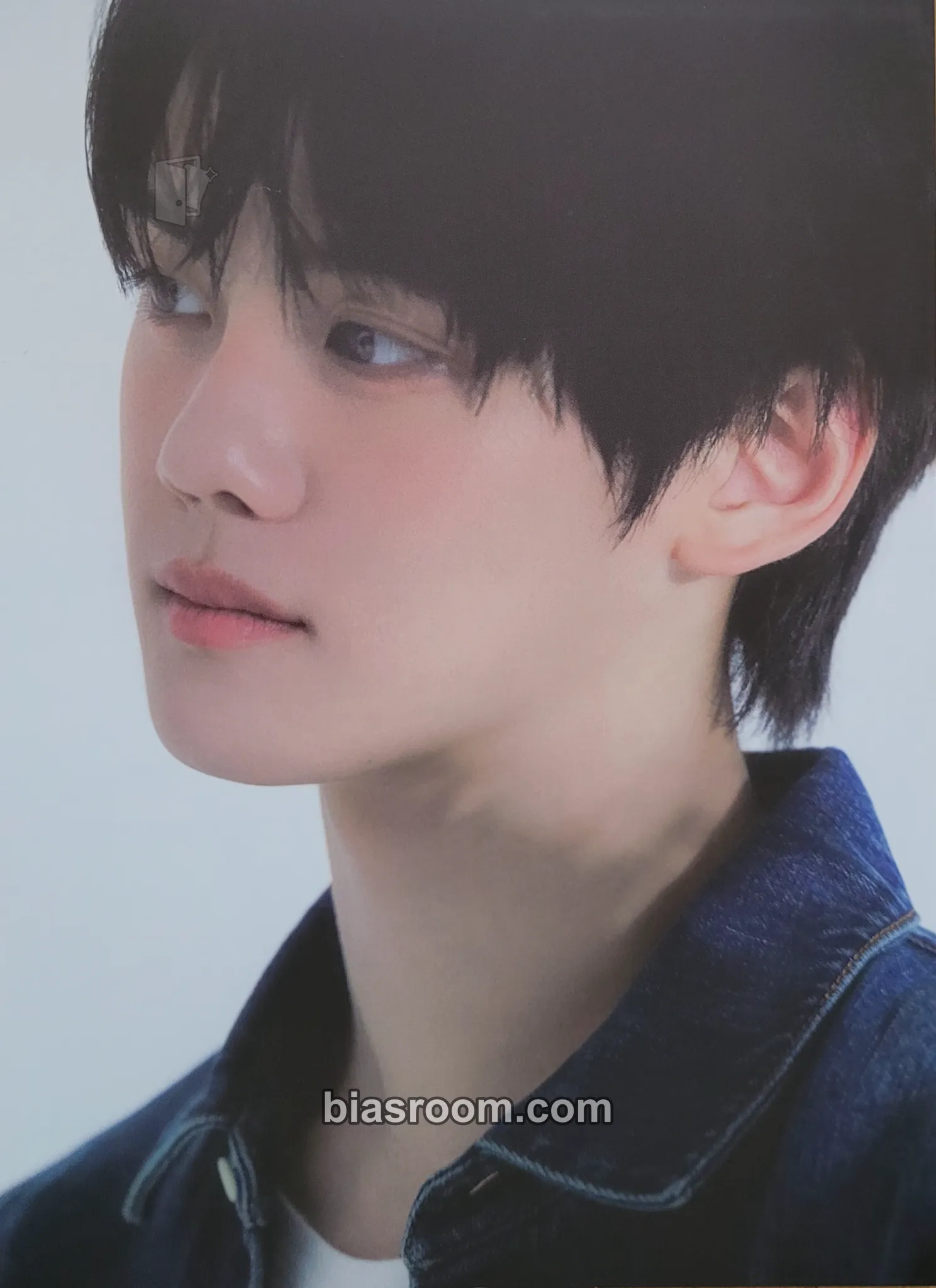 Gyuvin Cinema Paradise Photocard - ZEROBASEONE - ZEROBASEONE K-pop photocard