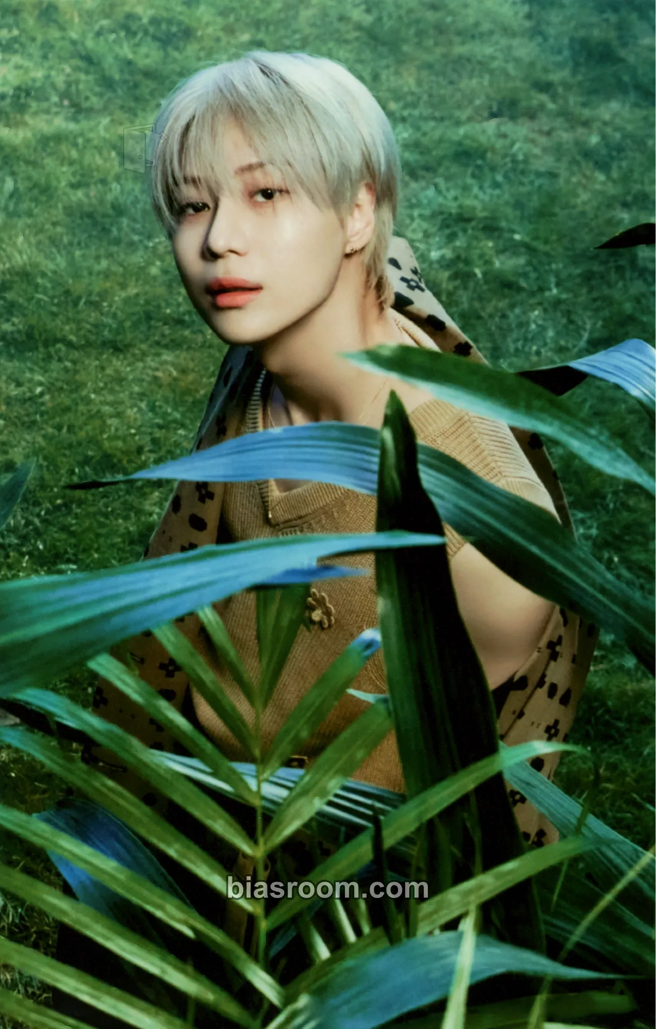 Taemin HARD - The 8th Album Photocard - SHINee - SHINee K-pop photocard