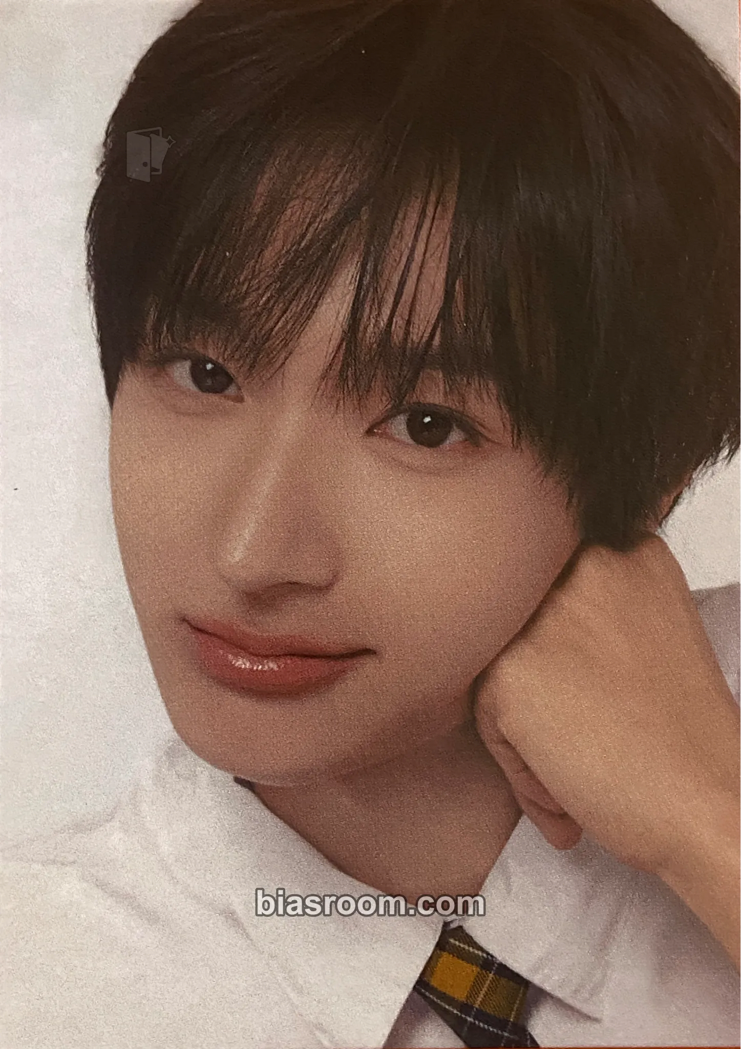 Donghwa TELECA 2025 K-POP ROOKIE COLLECTION CARDS Photocard - KickFlip - KickFlip K-pop photocard