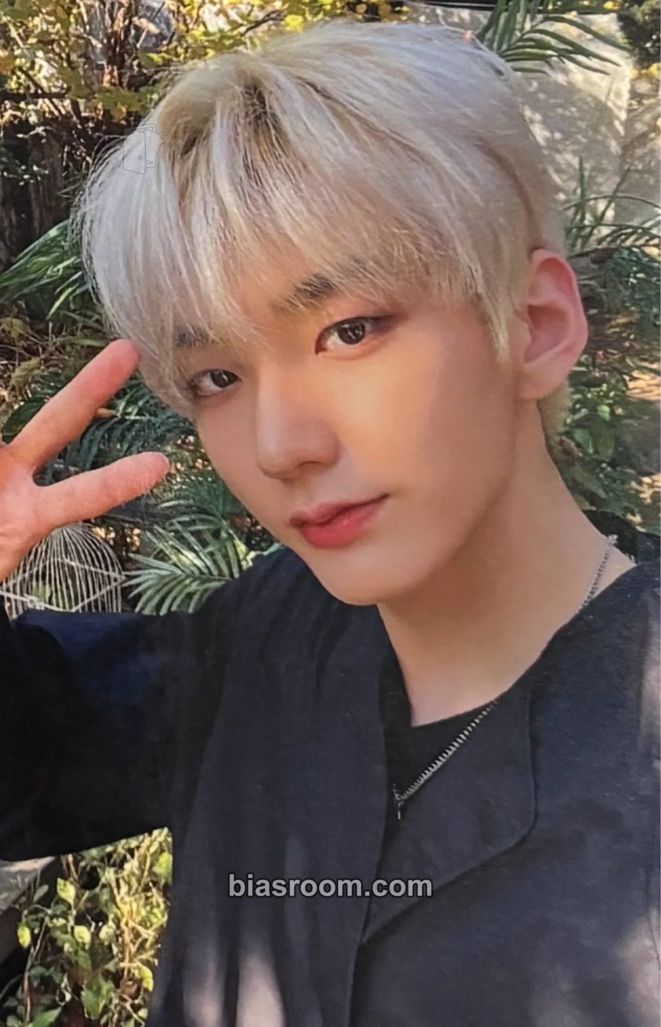Hwon History of Kingdom : PartⅤ. Louis Photocard - The KingDom - The KingDom K-pop photocard