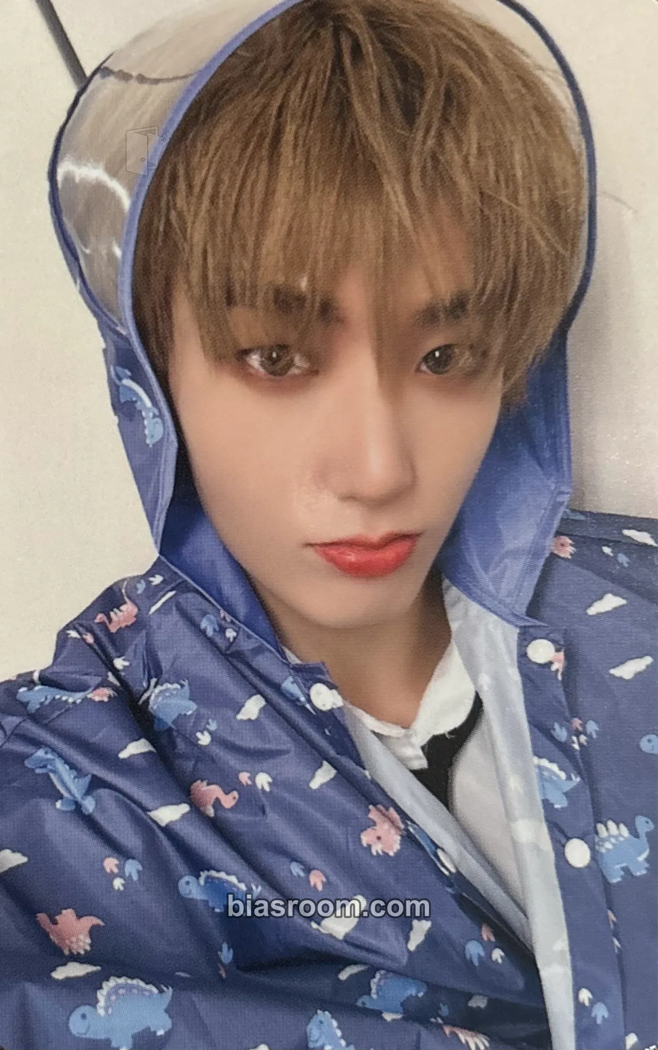 Hwon History of Kingdom : PartⅥ. Mujin Photocard - The KingDom - The KingDom K-pop photocard