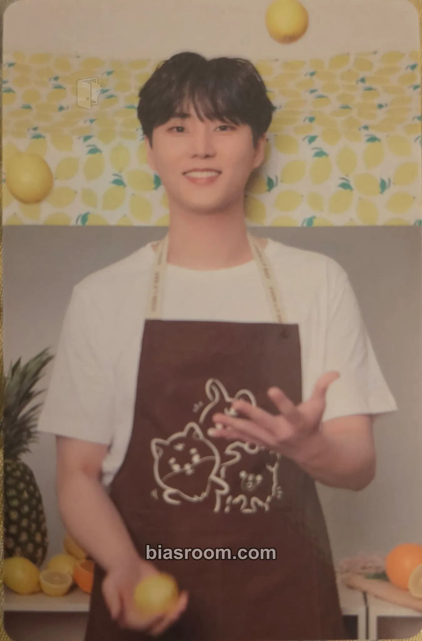 Young K Beyond LIVE – DAY6 (Even of Day) : Right Through Me Photocard - DAY6 - DAY6 K-pop photocard