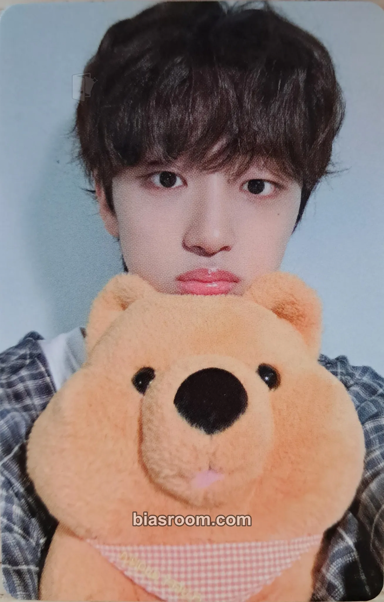 Jinsu AWAKENING Photocard - LUN8 - LUN8 K-pop photocard