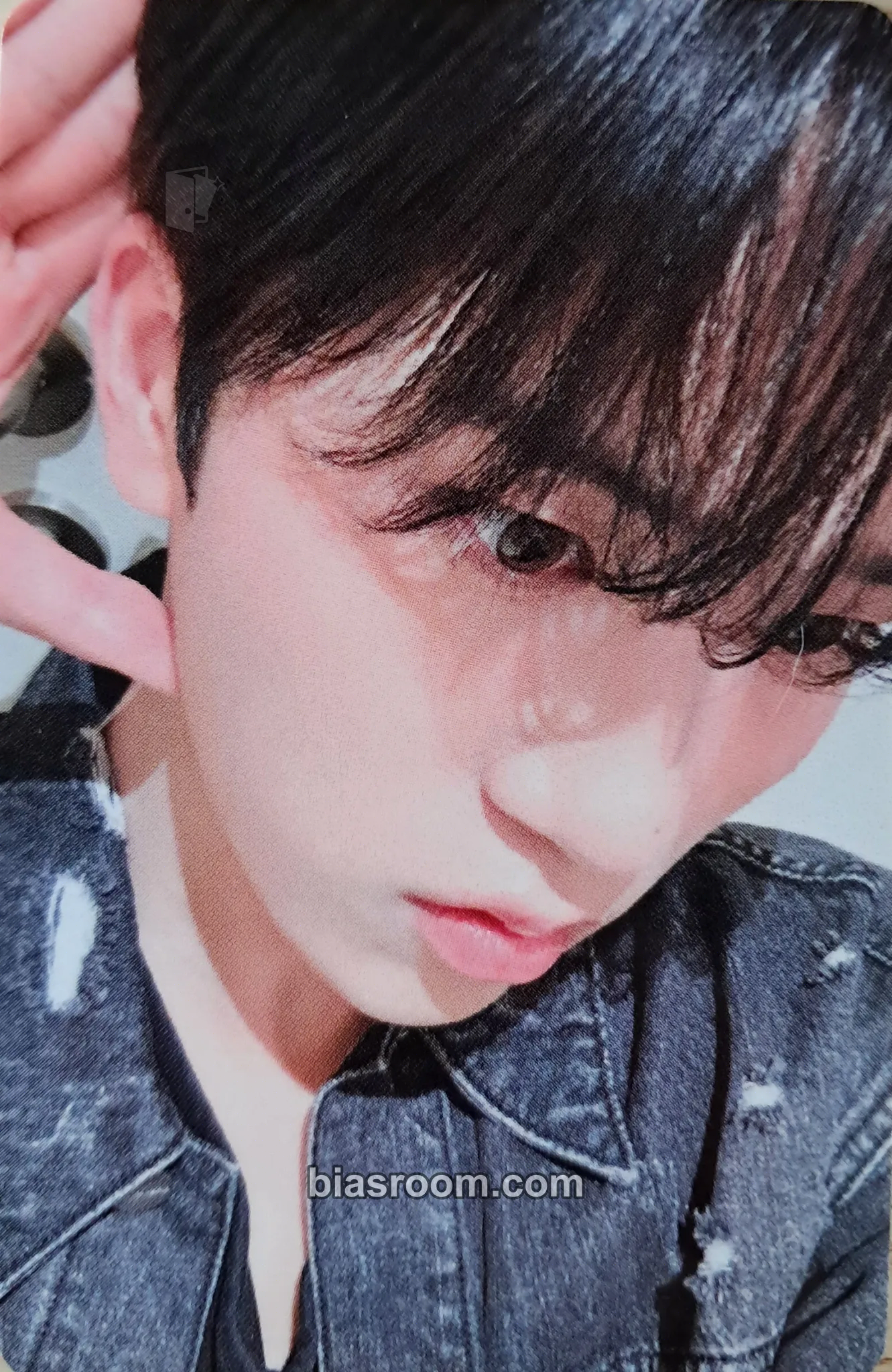Junwoo Butterfly Photocard - LUN8 - LUN8 K-pop photocard