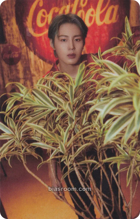 Ha Sung Woon Select Shop Photocard - Ha Sung Woon K-pop photocard