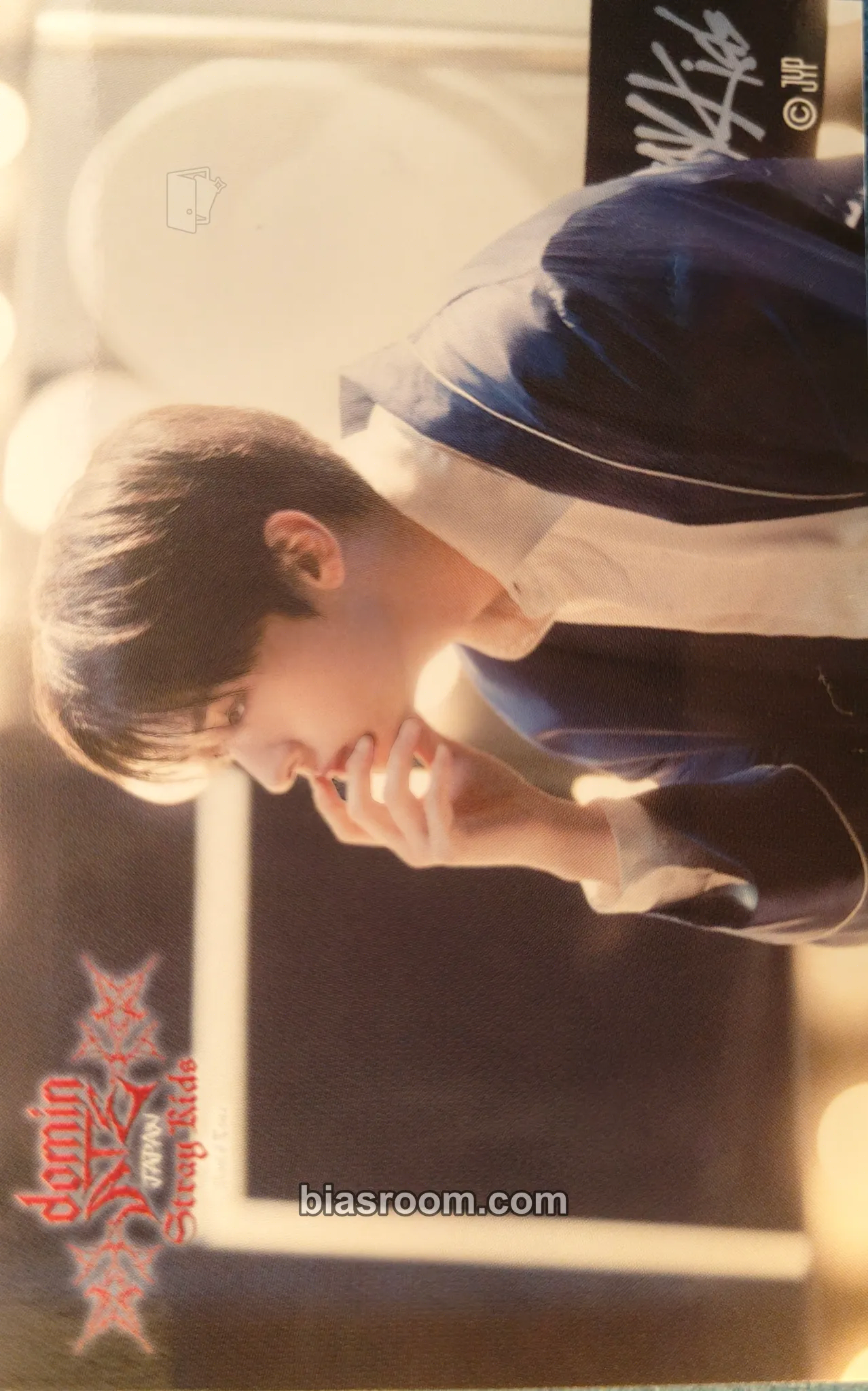 Lee Know DominATE World Tour Photocard - Stray Kids - Stray Kids K-pop photocard