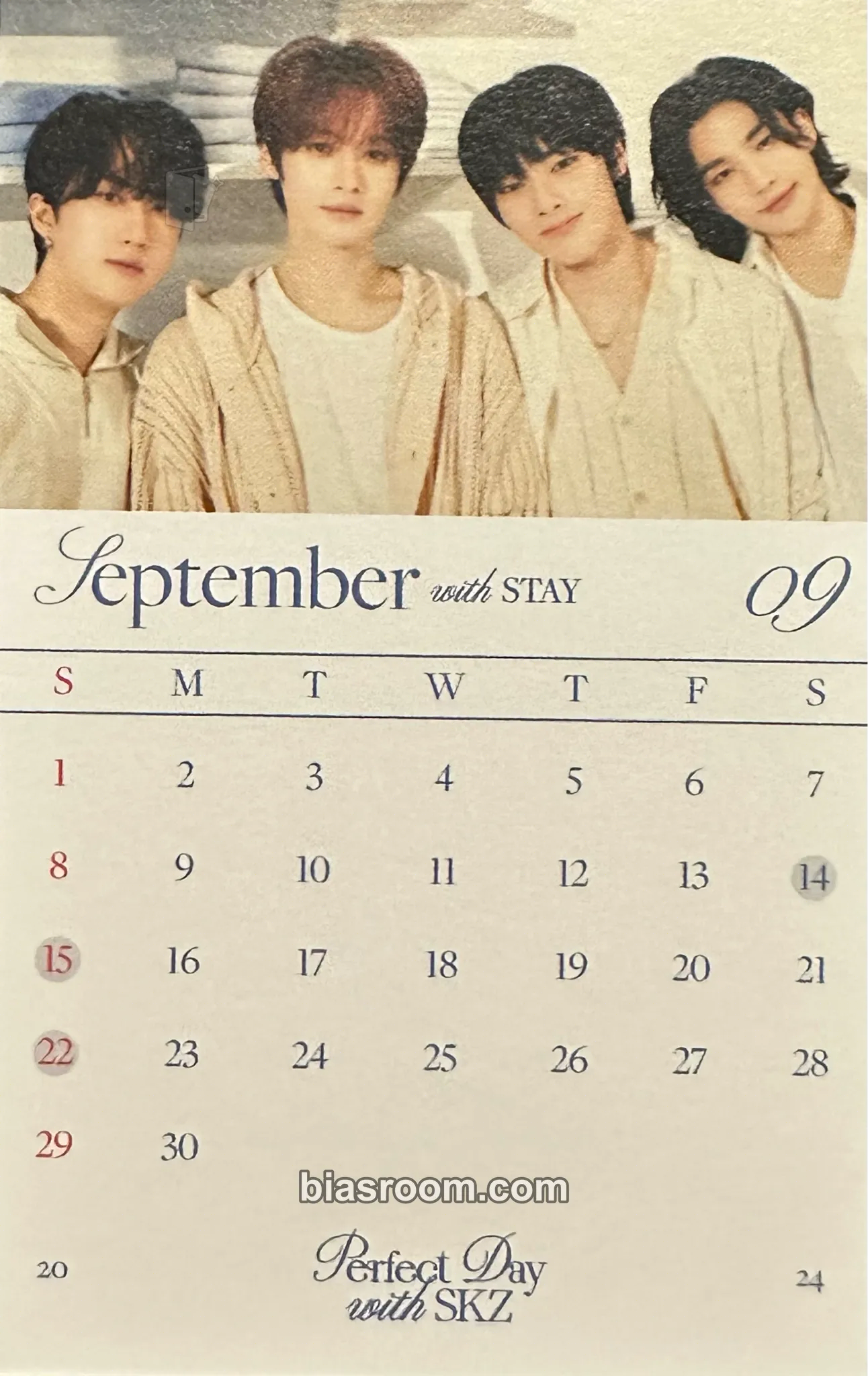 2024 Season's Greetings - Perfect Day with SKZ Photocard - Stray Kids - Stray Kids K-pop photocard
